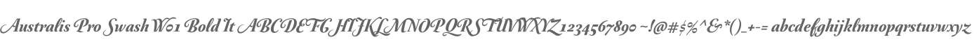 Australis Pro Swash W01 Bold It
