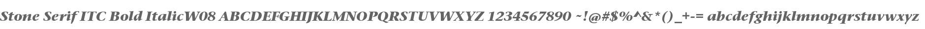 Stone Serif ITC Bold ItalicW08
