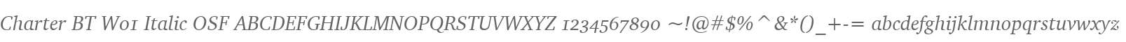 Charter BT W01 Italic OSF
