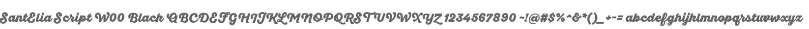 SantElia Script W00 Black