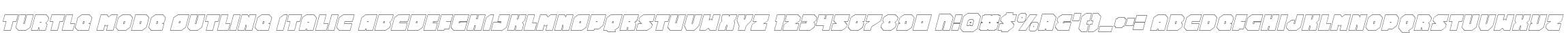 Turtle Mode Outline Italic