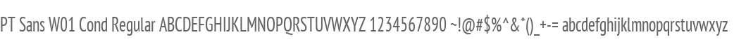 PT Sans W01 Cond Regular