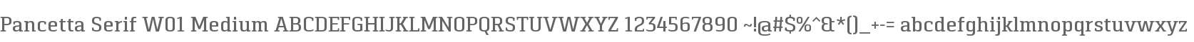 Pancetta Serif W01 Medium
