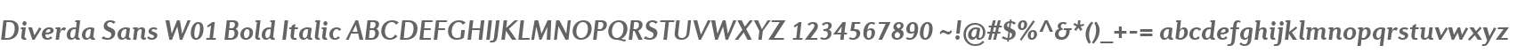 Diverda Sans W01 Bold Italic