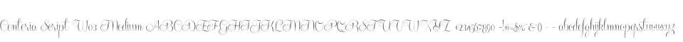 Centeria Script W03 Medium