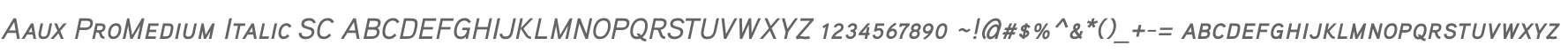 Aaux ProMedium Italic SC