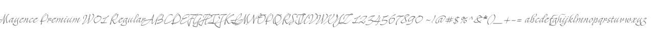 Mayence Premium W01 Regular