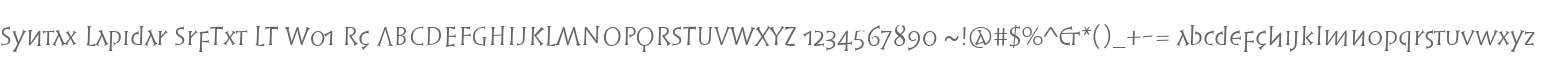 Syntax Lapidar SrfTxt LT W01 Rg