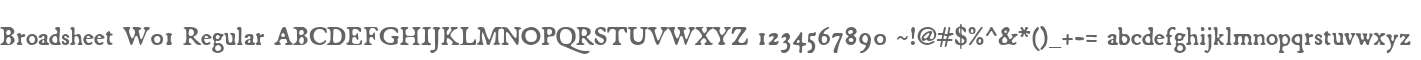 Broadsheet W01 Regular