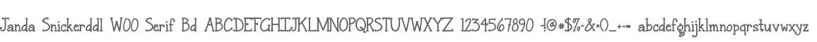 Janda Snickerddl W00 Serif Bd