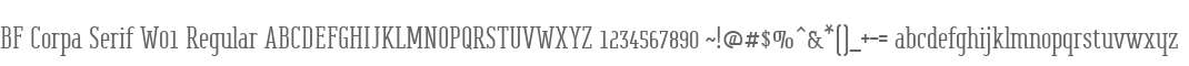 BF Corpa Serif W01 Regular