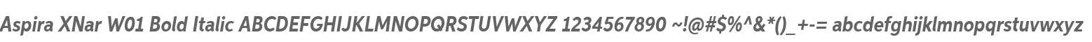 Aspira XNar W01 Bold Italic