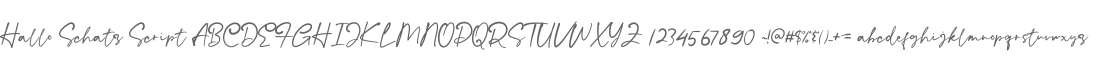 Hallo Schatz Script