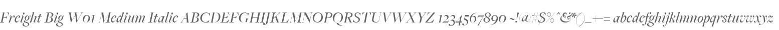 Freight Big W01 Medium Italic
