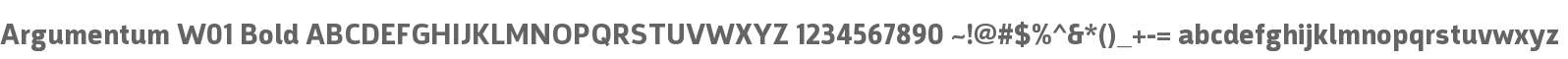 Argumentum W01 Bold