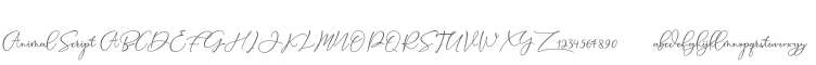 Animal Script