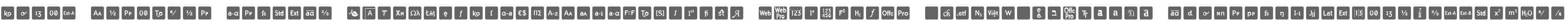 Icons OpenType Regular