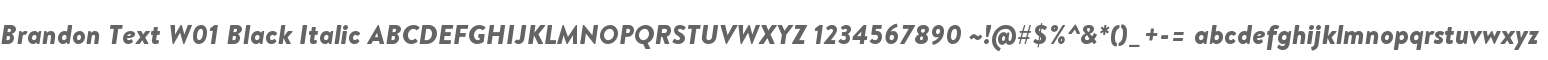 Brandon Text W01 Black Italic