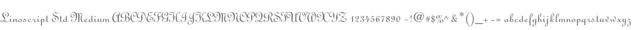 Linoscript Std Medium