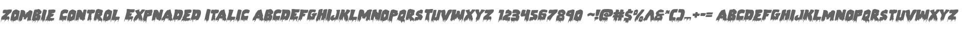 Zombie Control Expnaded Italic