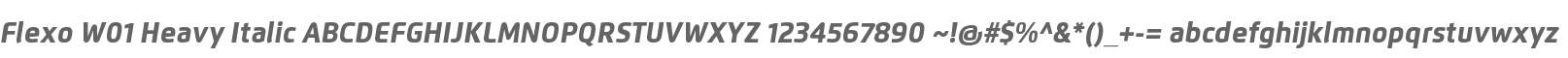 Flexo W01 Heavy Italic