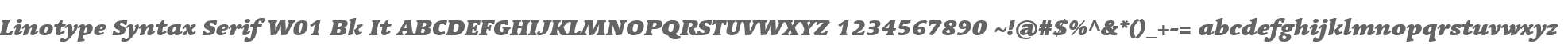 Linotype Syntax Serif W01 Bk It