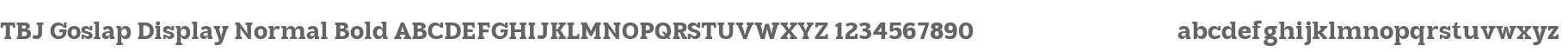 TBJ Goslap Display
