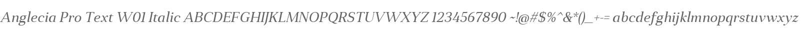 Anglecia Pro Text W01 Italic