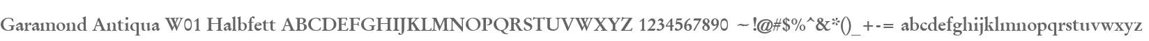 Garamond Antiqua W01 Halbfett