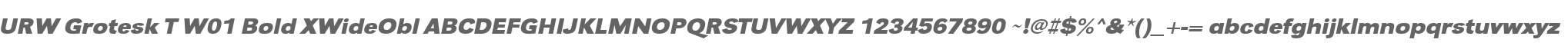 URW Grotesk T W01 Bold XWideObl