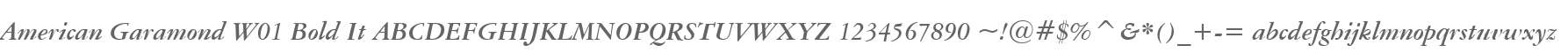 American Garamond W01 Bold It