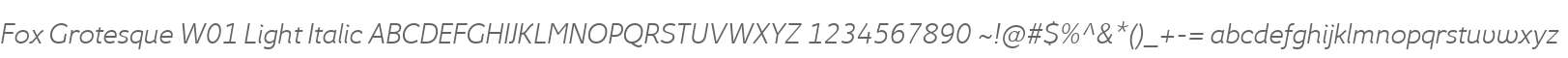 Fox Grotesque W01 Light Italic