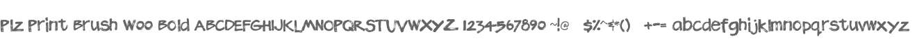 Plz Print Brush W00 Bold