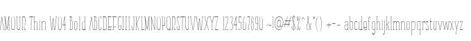 AMOUR Thin W04 Bold