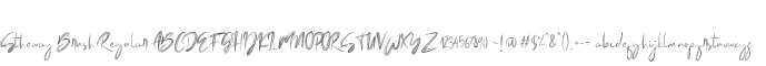 Stheway Brush