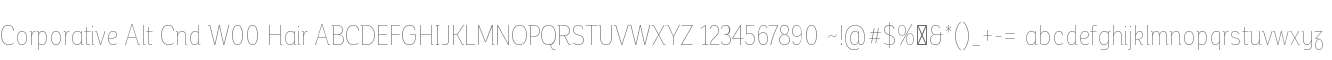 Corporative Alt Cnd W00 Hair