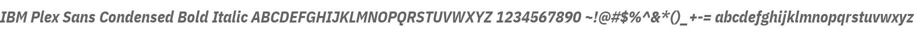 IBM Plex Sans Condensed Bold Italic