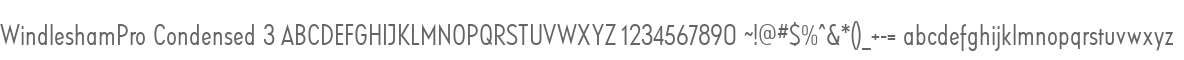 WindleshamPro Condensed 3