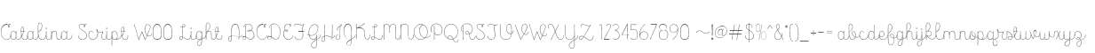 Catalina Script W00 Light
