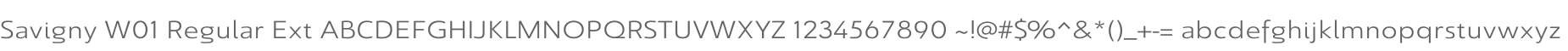 Savigny W01 Regular Ext