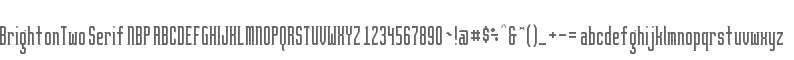 BrightonTwo Serif NBP
