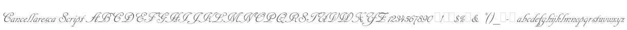 Cancellaresca Script