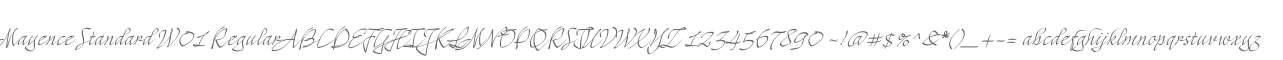 Mayence Standard W01 Regular
