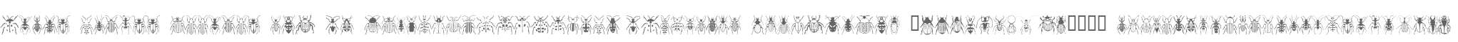 Stans Poluss Beetles W95 Rg