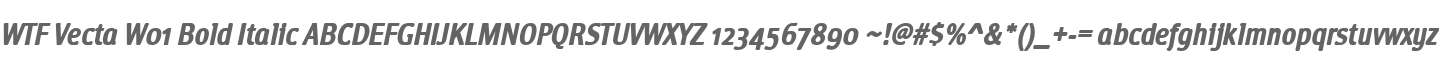 WTF Vecta W01 Bold Italic