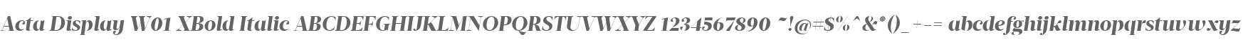 Acta Display W01 XBold Italic