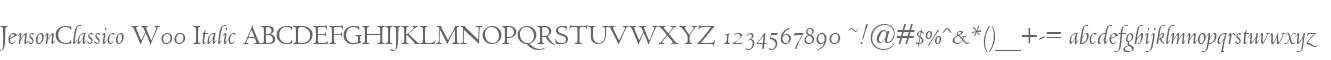 JensonClassico W00 Italic