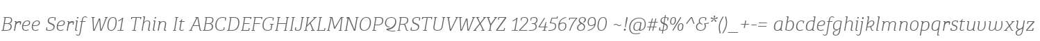 Bree Serif W01 Thin It