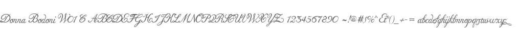 Donna Bodoni W01 C