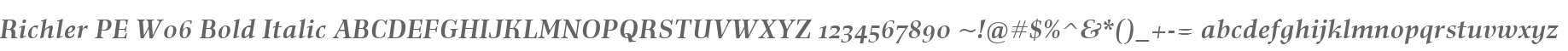 Richler PE W06 Bold Italic